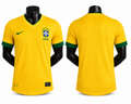 Brazil 12/13 Home RETRO
