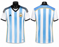 Argentina 14/15 Home Playerversion